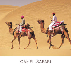 Camel Safari